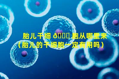 胎儿干细 🐞 胞从哪里来（胎儿的干细胞一定有用吗）